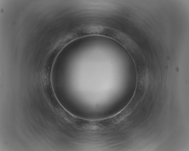 X0000081400743200701111542