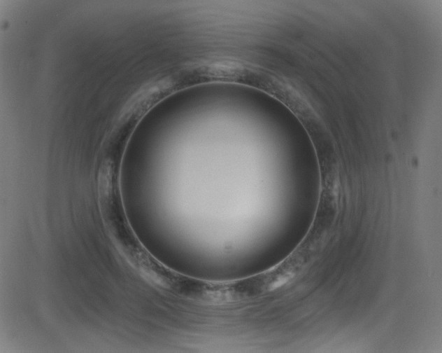 X0000081400744200701111542