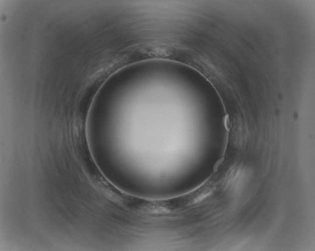 X0000081400747200701111542