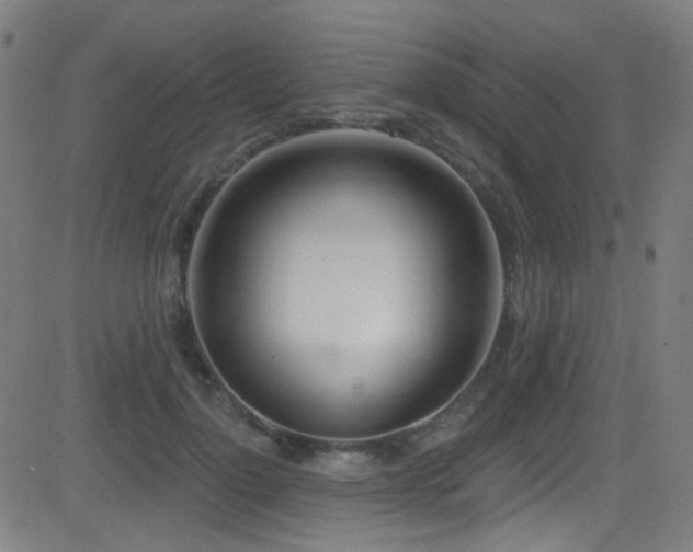 X0000081400748200701111542