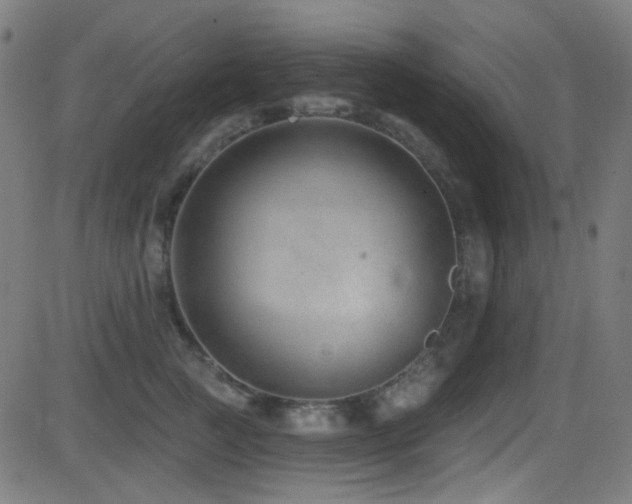 X0000081400761200701111543