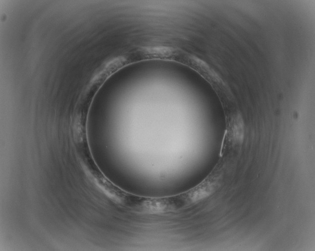 X0000081400764200701111543