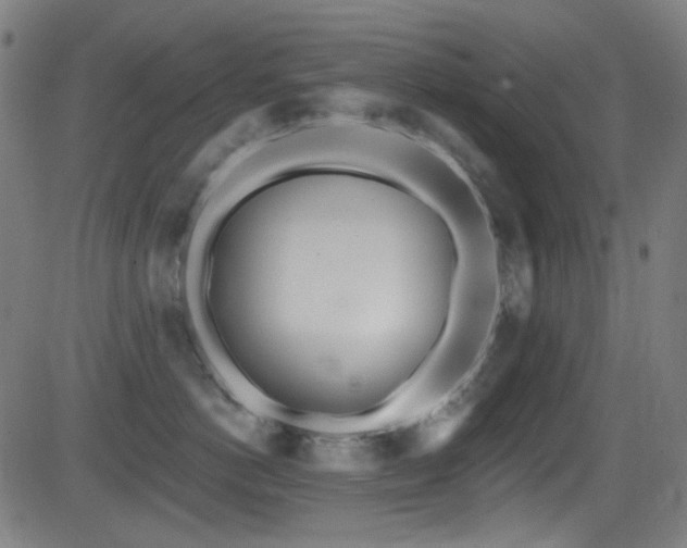 X0000081400766200701111543
