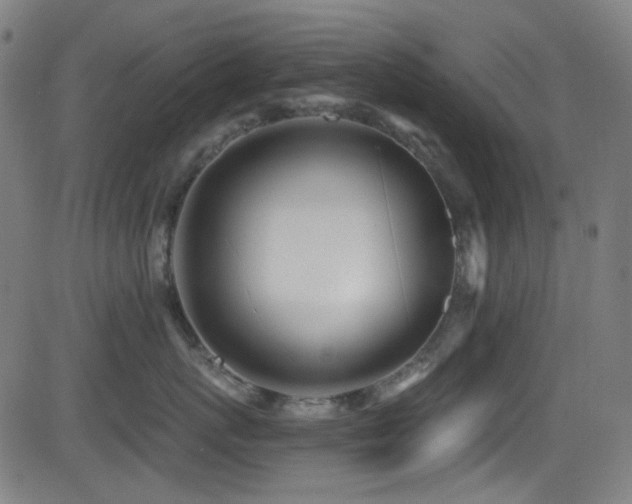X0000081400767200701111543