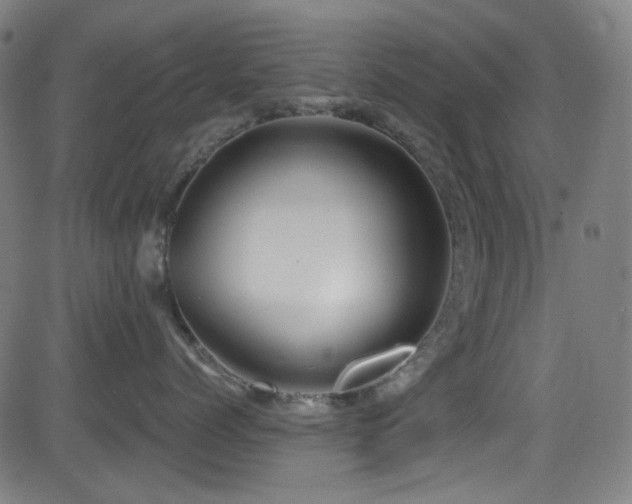 X0000081400768200701111543