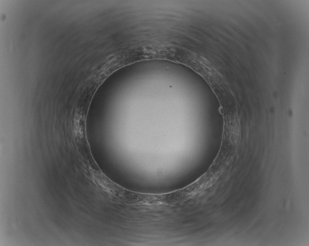 X0000081400770200701111542
