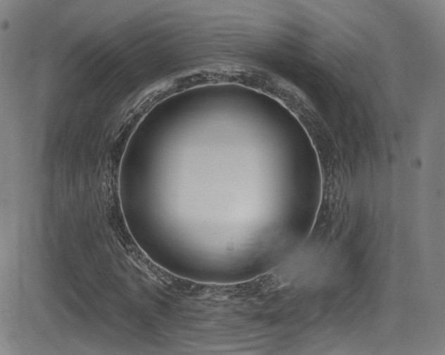 X0000081400773200701111542
