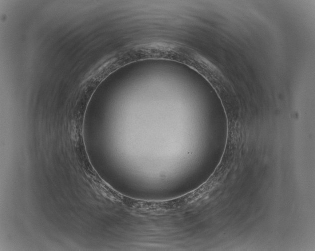 X0000081400774200701111542