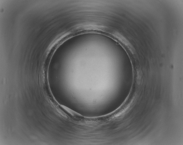 X0000081400782200701111542