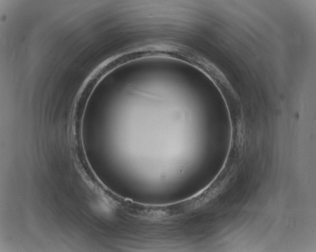X0000081400784200701111542