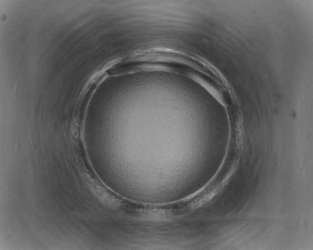 X0000081400785200701111542