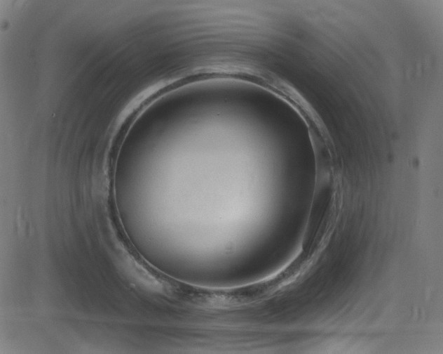 X0000081400787200701111542