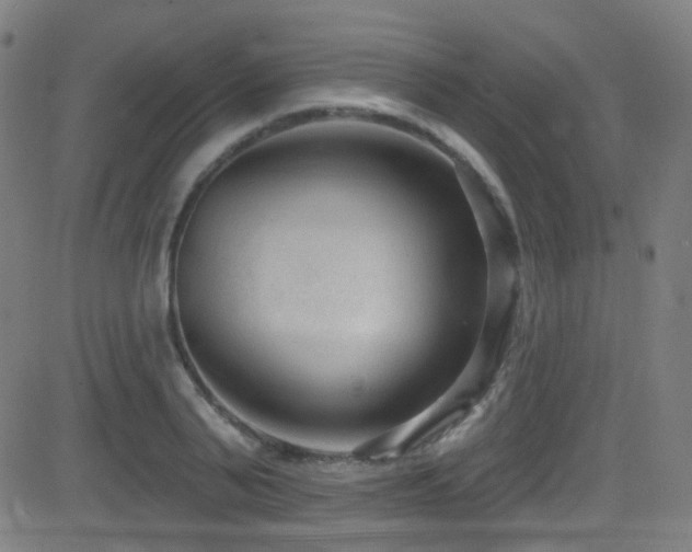 X0000081400791200701111542