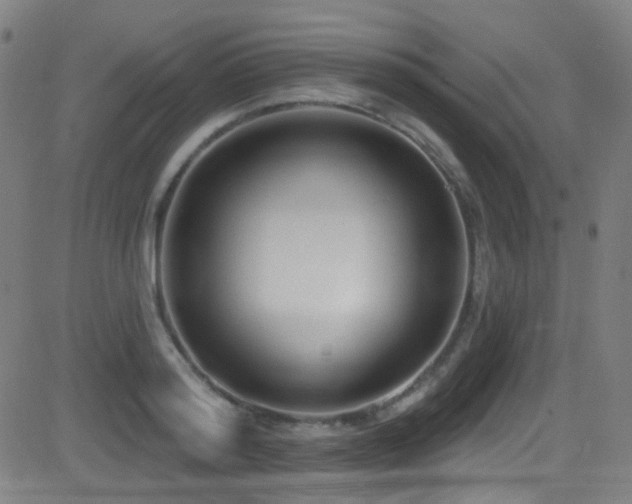X0000081400796200701111541