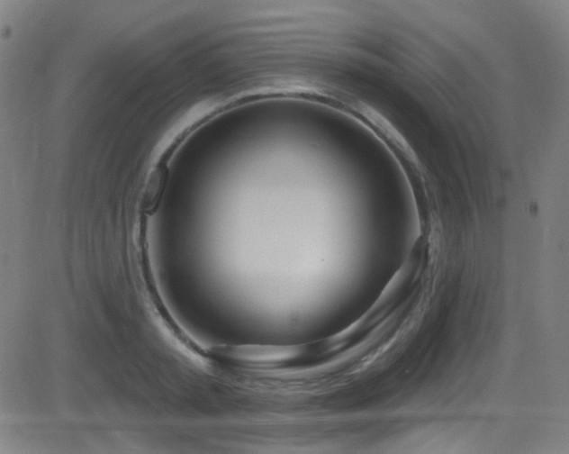 X0000081400797200701111541