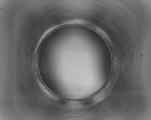 X0000081400800200701111541