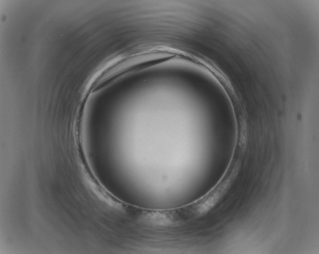 X0000081400806200701111541
