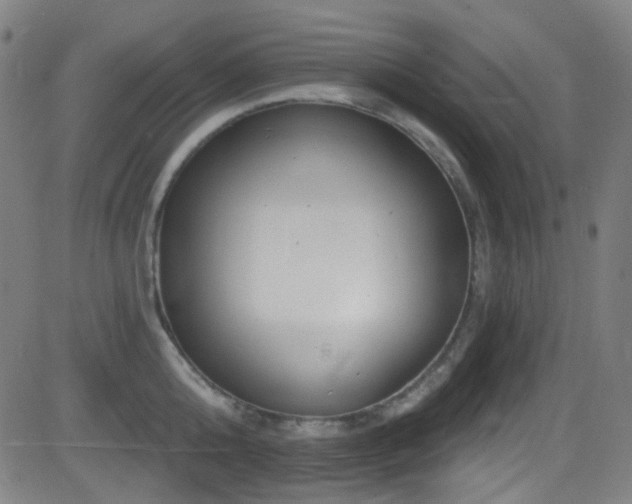 X0000081400808200701111541