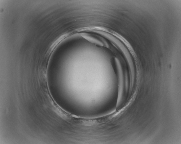 X0000081400809200701111541