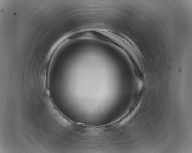 X0000081400812200701111541