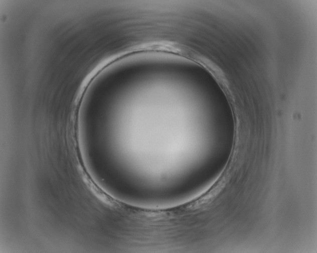 X0000081400816200701111541