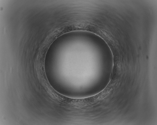 X0000081400817200701111540