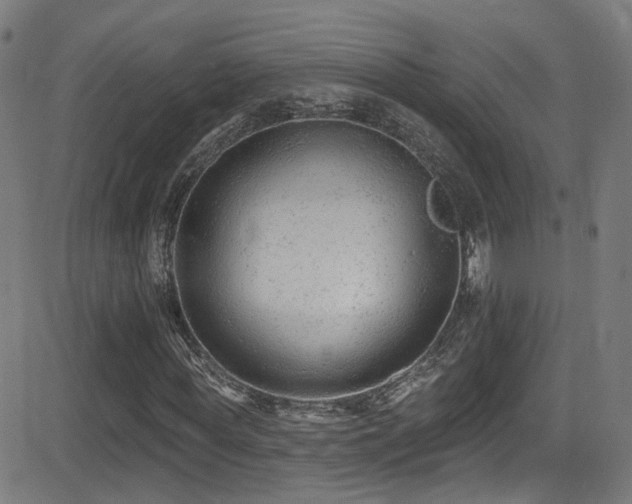 X0000081400819200701111540