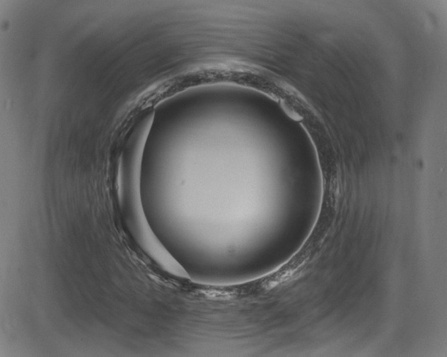 X0000081400822200701111540