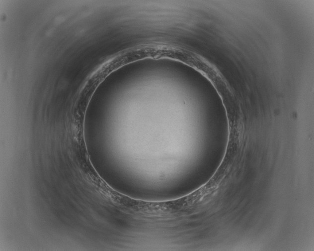 X0000081400823200701111540