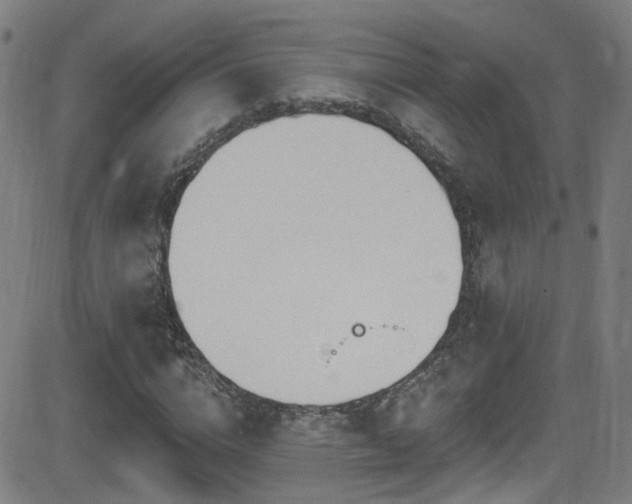 X0000081400824200701111540