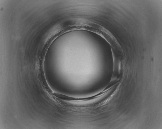 X0000081400826200701111541