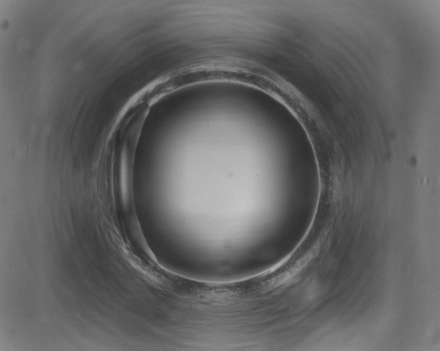 X0000081400830200701111541