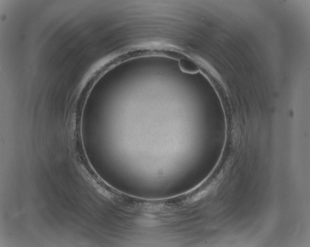 X0000081400831200701111541