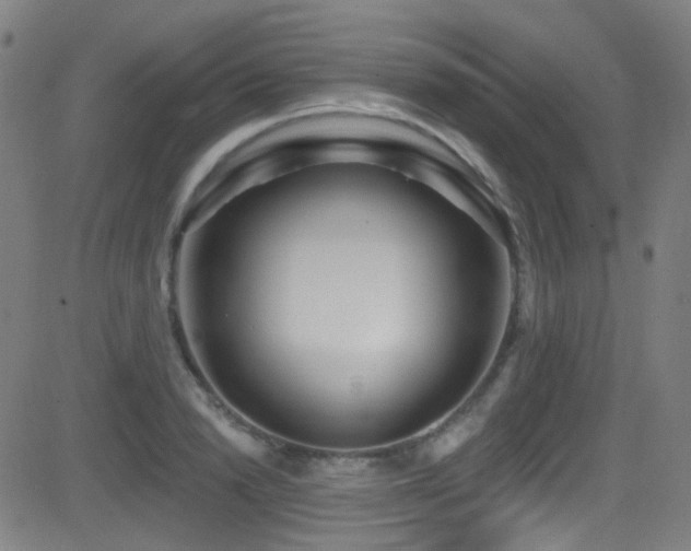 X0000081400846200701111541