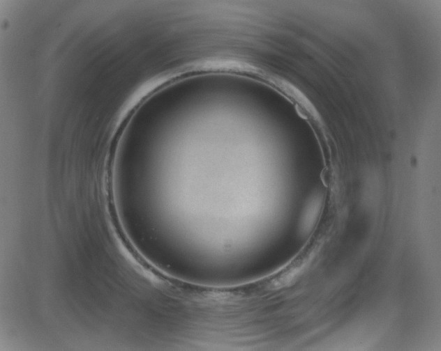 X0000081400847200701111541