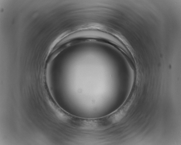 X0000081400850200701111541