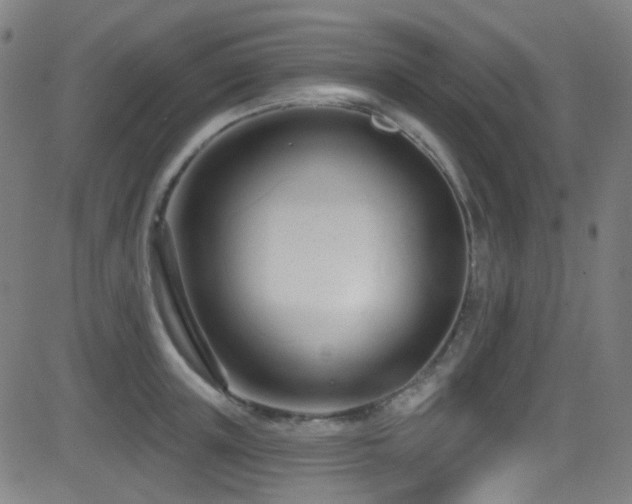 X0000081400851200701111541