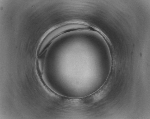 X0000081400853200701111541