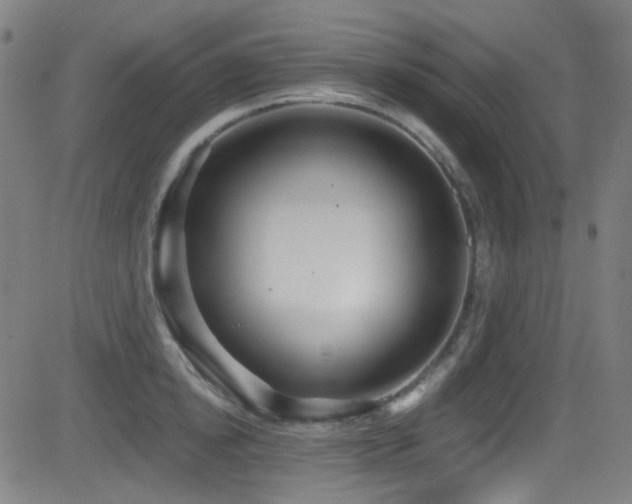 X0000081400854200701111541