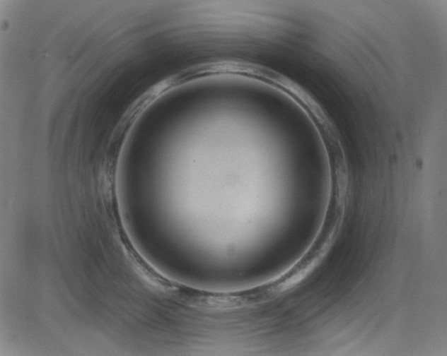 X0000081400857200701111541