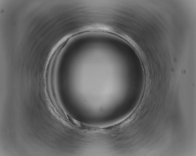 X0000081400864200701111541