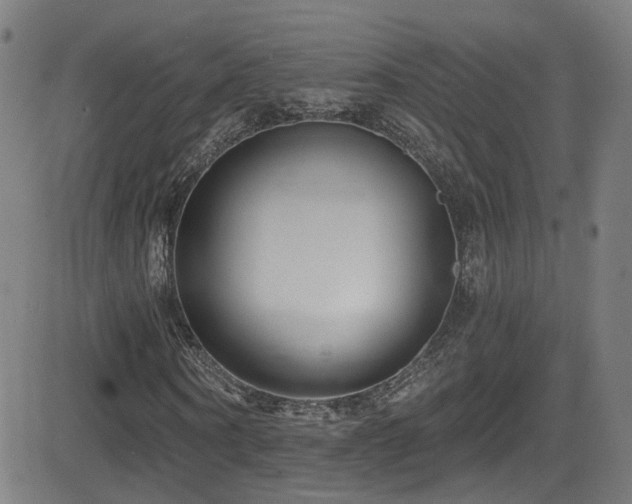 X0000081400866200701111540