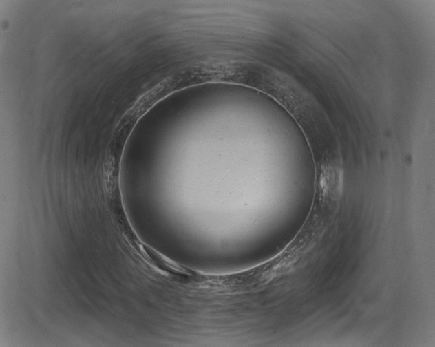 X0000081400867200701111540