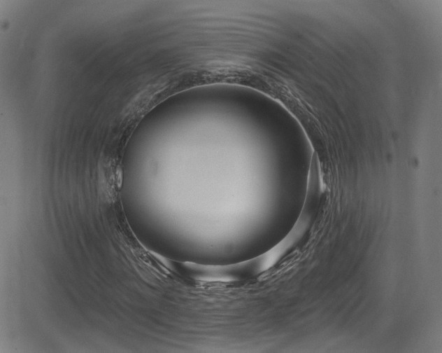X0000081400868200701111540
