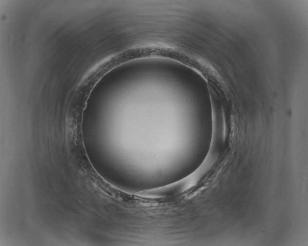 X0000081400872200701111540