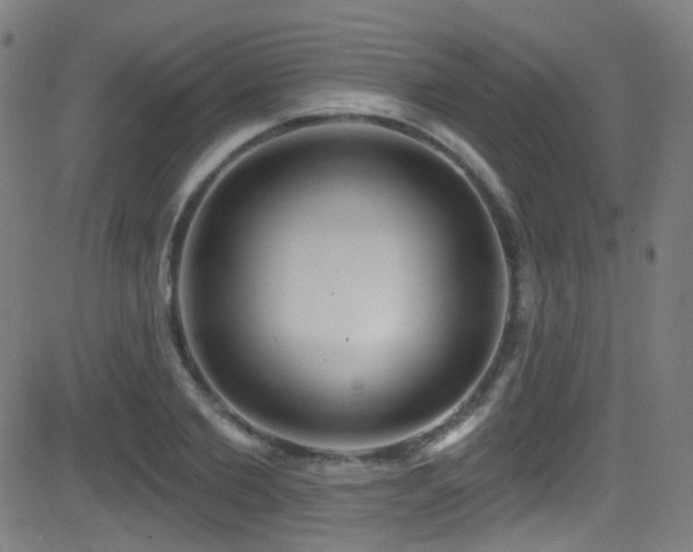 X0000081400885200701111540