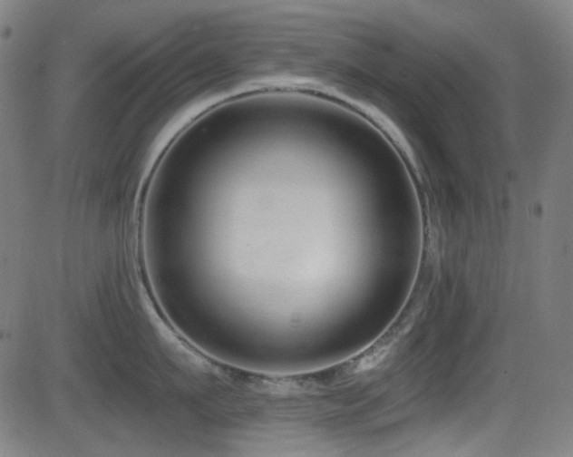 X0000081400911200701111540