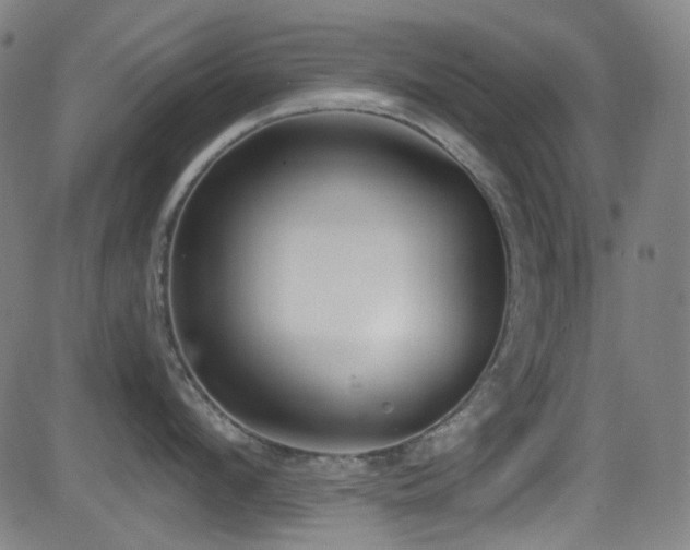 X0000081400912200701111540