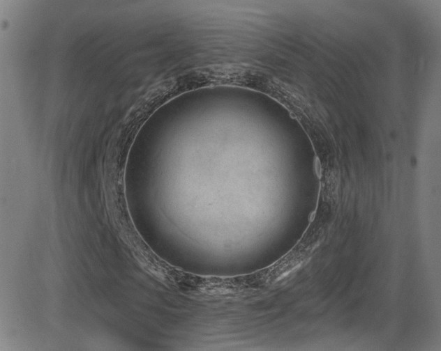 X0000081400913200701111539