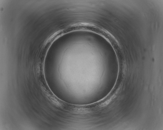 X0000081400921200701111539
